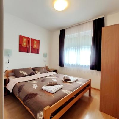 Miran San Apartman 1 Sokobanja Sl 18