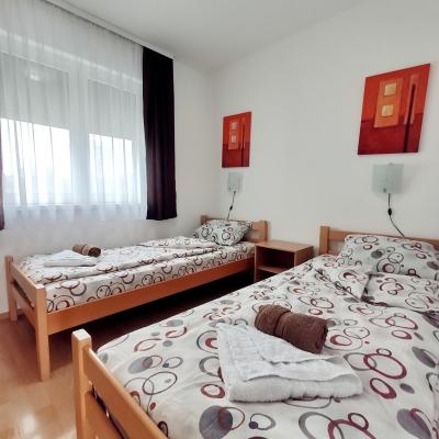 Miran San Apartman 1 Sokobanja Sl 21