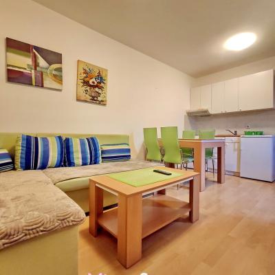 Miran San Apartman 2 Sokobanja Sl 10