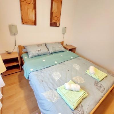 Miran San Apartman 2 Sokobanja Sl 25