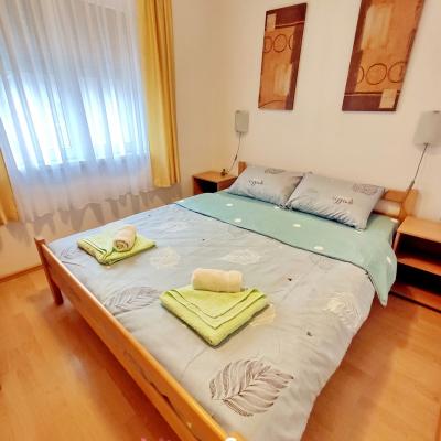 Miran San Apartman 2 Sokobanja Sl 27