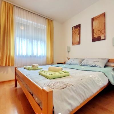 Miran San Apartman 2 Sokobanja Sl 29