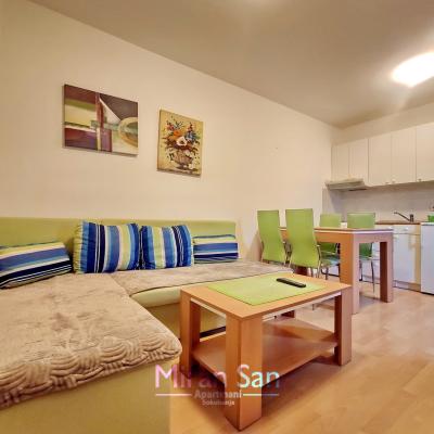 Miran San Apartman 2 Sokobanja Sl 2